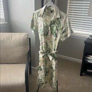 Ann Taylor Green and Cream Leaf Print Dress